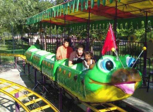 果虫滑车视频,惊险刺激的极限挑战之旅