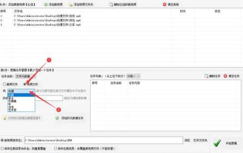 视频文件名,精彩瞬间与深刻内涵一网打尽