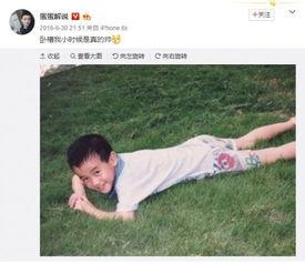 爆蛋蛋视频,揭秘美食背后的趣味与创意