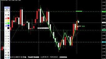 日本黄金视频,揭秘神秘文化魅力