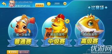 东海捕鱼视频,渔民生活与海洋生态的和谐共舞