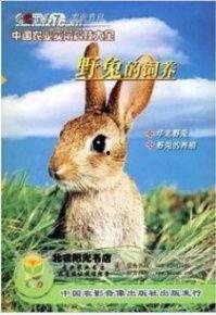 扑野兔视频,一场惊心动魄的野外冒险