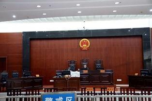 法院视频网,实时直播司法公正,见证法治力量