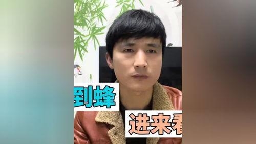 诱蜂技术视频,揭秘蜜蜂吸引与养殖奥秘